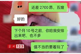 南京为什么选择专业追讨公司来处理您的债务纠纷？